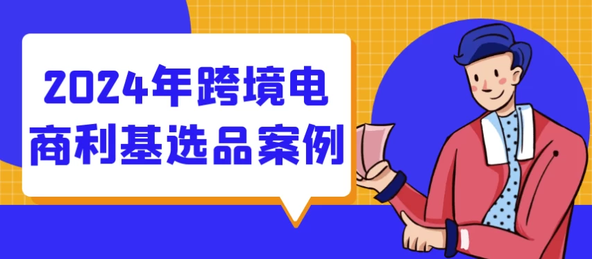 2024年跨境电商利基选品案例