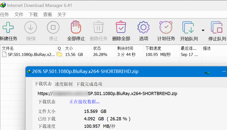 Internet Download Manager 6.42.20 (IDM下载器) 绿色版